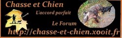 Le forum Chasse et Chien