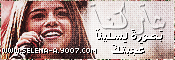 http://img66.xooimage.com/files/4/7/d/ti-3199a3a.gif