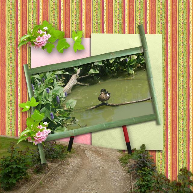 http://img66.xooimage.com/files/e/d/2/voyageabamboopark-2b72fe4.jpg